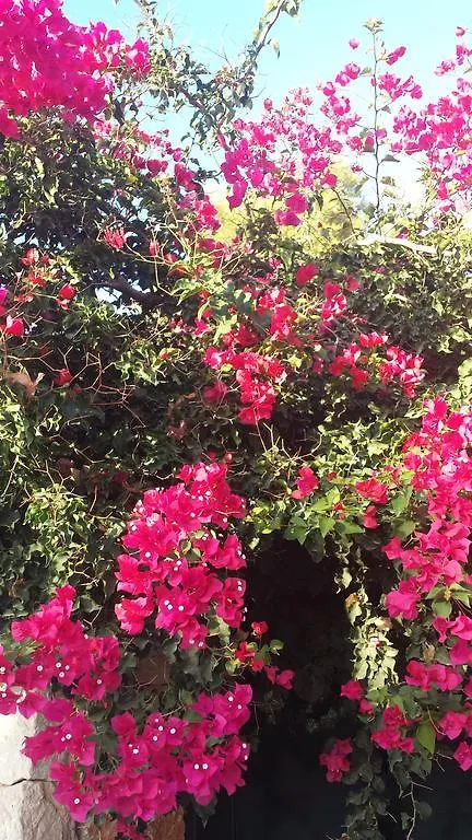 马约里斯德西玛Puig De Ros别墅 马约里斯德西玛